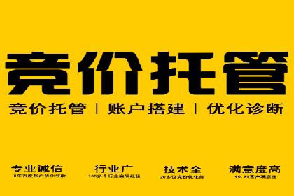 托管SEM竞价：提升广告效果的成功案例